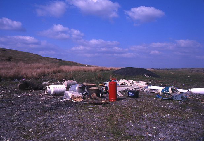 Photograph of Merthyr Common ,Wales, Richard Haines